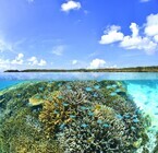 株式会社ユニマットプレシャス　リゾート事業のプレスリリース画像3