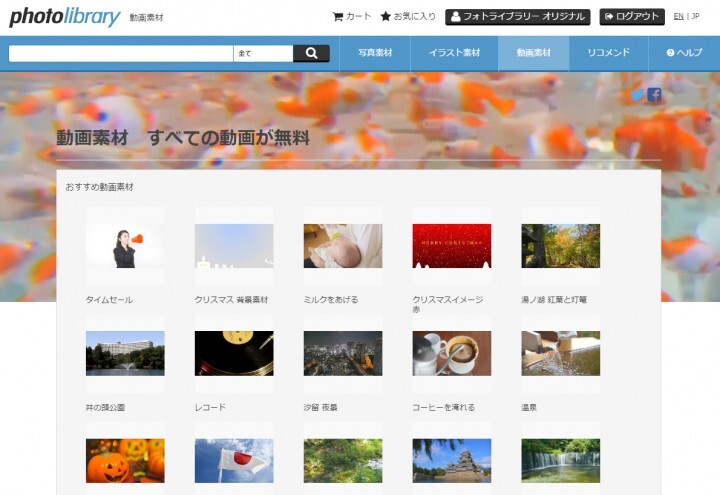 株式会社フォトライブラリーのプレスリリース画像1