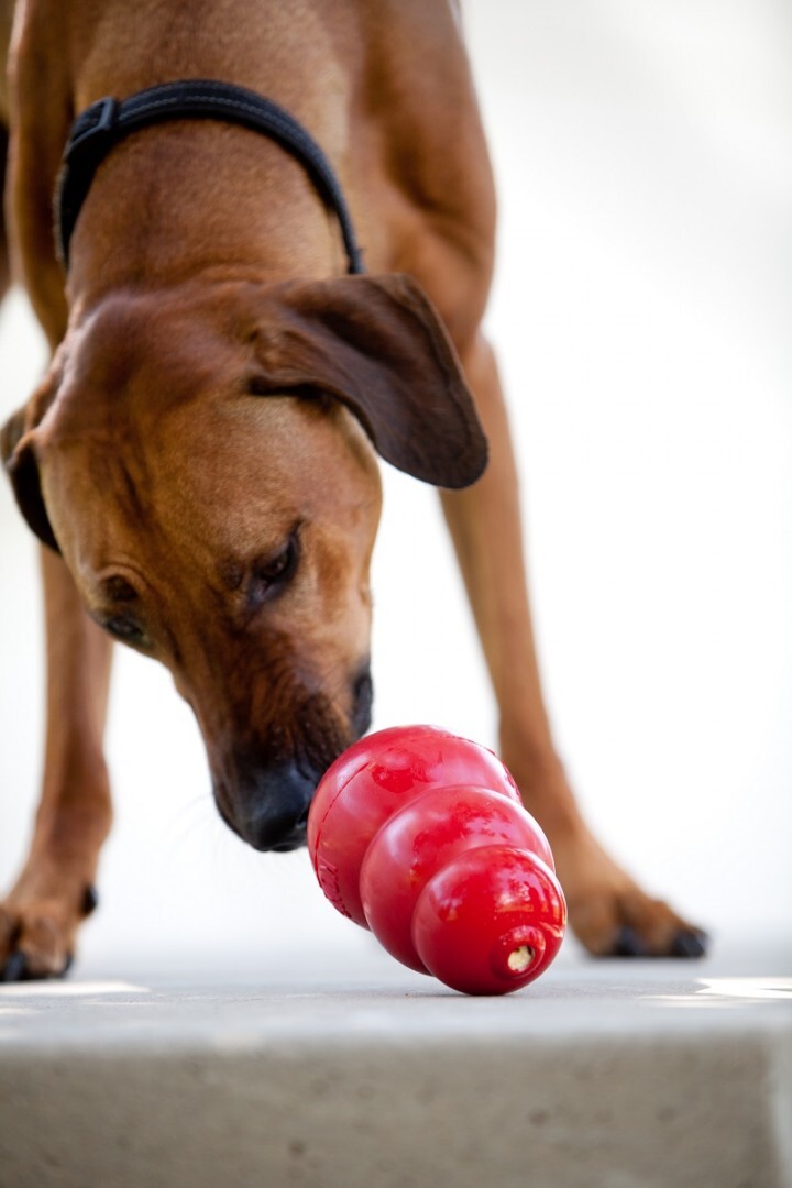 スペクトラム ブランズ ジャパン株式会社のプレスリリース画像7