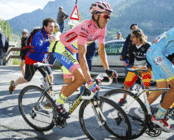 スペシャライズド・ジャパン合同会社のプレスリリース画像1