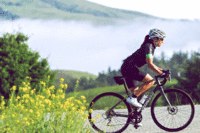 スペシャライズド・ジャパン合同会社のプレスリリース画像1