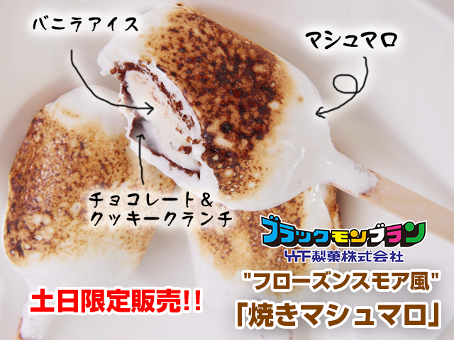 一般社団法人 日本アイスマニア協会のプレスリリース画像2