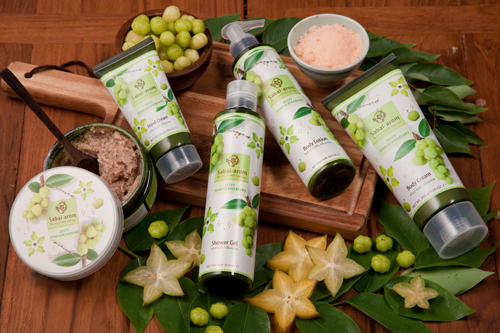 株式会社ミック・ジャパンのプレスリリース画像2