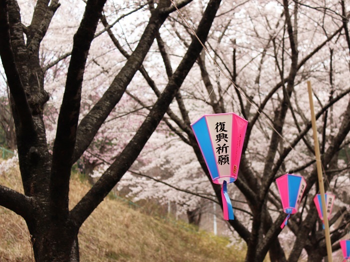 KIEHL’S SINCE 1851のプレスリリース画像2