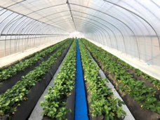 宇都宮ケーブルテレビ株式会社のプレスリリース画像5