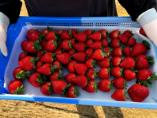 宇都宮ケーブルテレビ株式会社のプレスリリース画像3