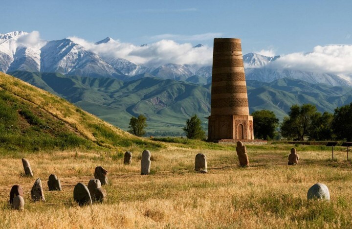 だるま株式会社のプレスリリース画像1