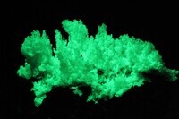 福岡ミネラルショー実行委員会のプレスリリース画像2