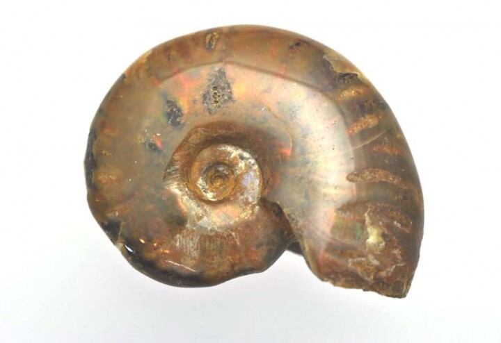 福岡ミネラルショー実行委員会のプレスリリース画像5