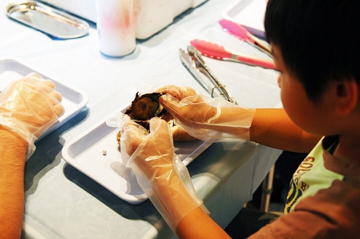 福岡ミネラルショー実行委員会のプレスリリース画像9