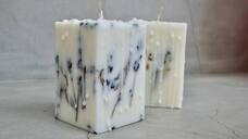 BRIGHTON Studio DAIKANYAMAのプレスリリース画像3