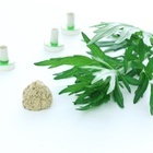 白山はりきゅう整骨院のプレスリリース画像10