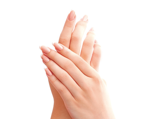 ベレックス株式会社のプレスリリース見出し画像