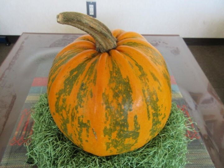 きびだんご株式会社のプレスリリース画像5