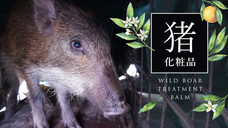 きびだんご株式会社のプレスリリース