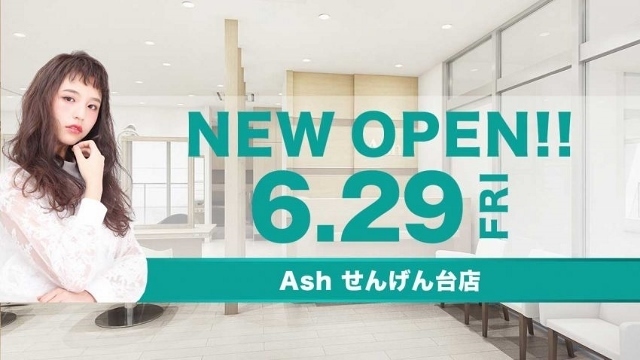 株式会社アルテサロンホールディングスのプレスリリース画像1