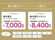 株式会社アルテサロンホールディングスのプレスリリース画像2