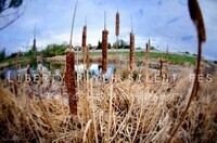 Ozone合同会社のプレスリリース画像1