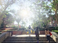 株式会社留学ジャーナルのプレスリリース画像2