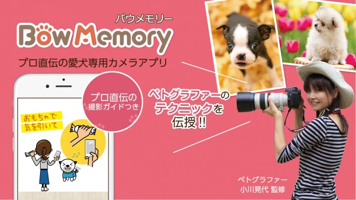 ニューアーチデザイニング株式会社のプレスリリース画像1