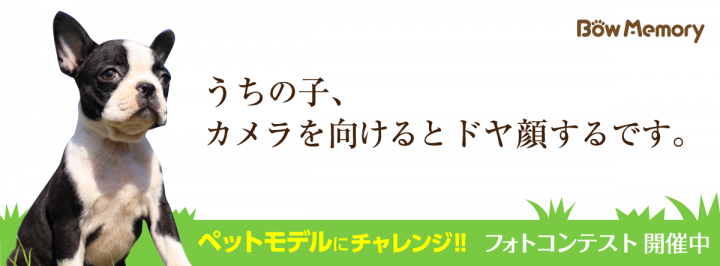 ニューアーチデザイニング株式会社のプレスリリース