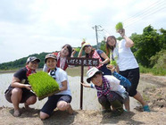 いばらき美菜部合同会社のプレスリリース