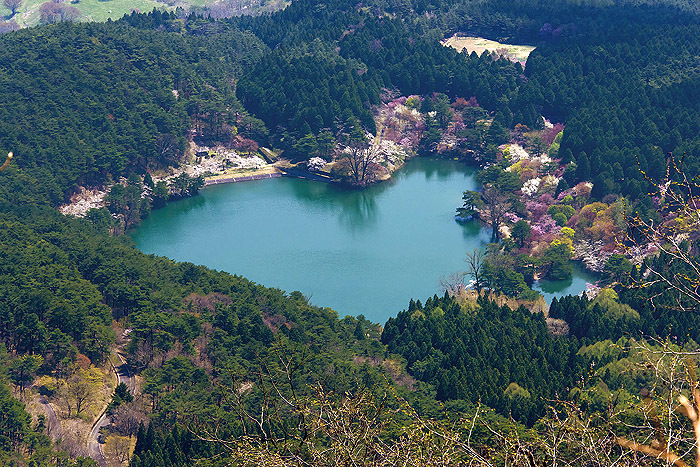 福島県のプレスリリース画像3