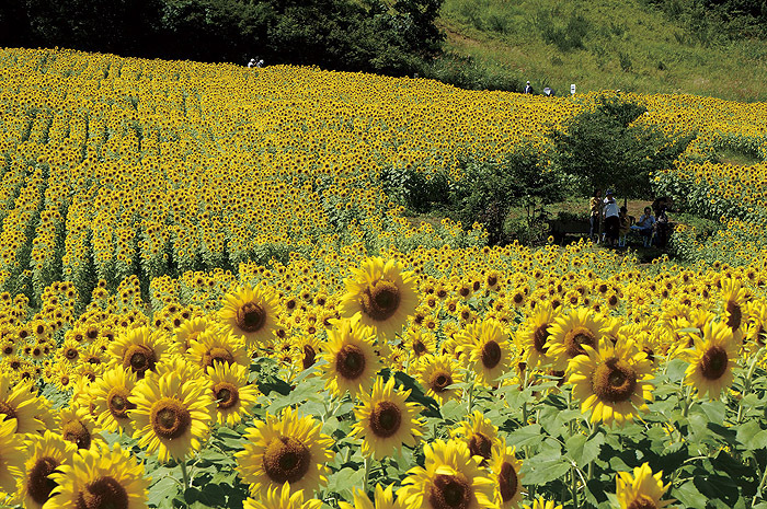 福島県のプレスリリース画像4