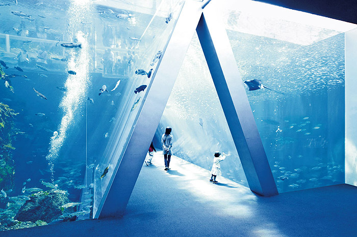 福島県のプレスリリース画像2