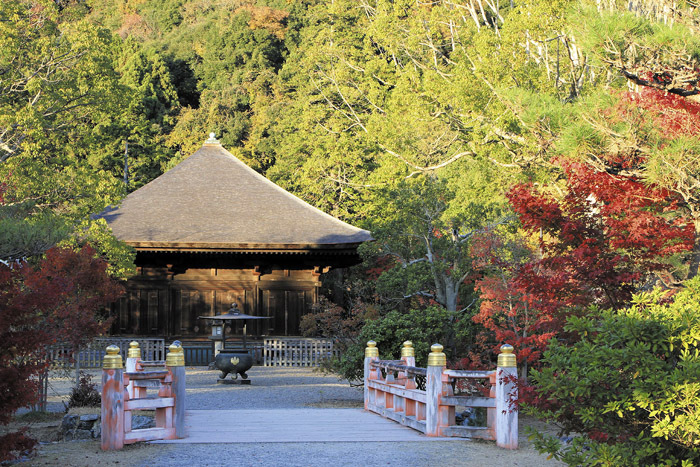 福島県のプレスリリース画像8