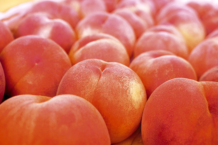 福島県のプレスリリース画像7