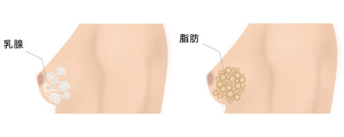 ガーデンクリニックのプレスリリース画像2