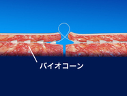 ガーデンクリニックのプレスリリース画像3