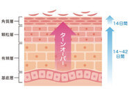 ガーデンクリニックのプレスリリース画像2