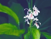 株式会社シェルゥームのプレスリリース画像2