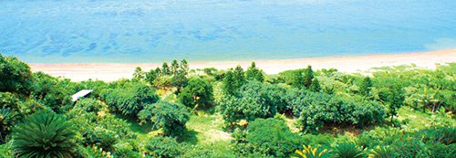 株式会社シェルゥームのプレスリリース画像5