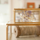 株式会社クプリオのプレスリリース画像1