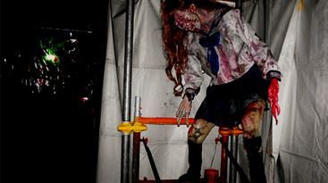 株式会社プランニングオフィスSMSのプレスリリース画像2