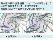 吉岡えりこのプレスリリース画像9