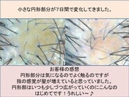 吉岡えりこのプレスリリース画像3