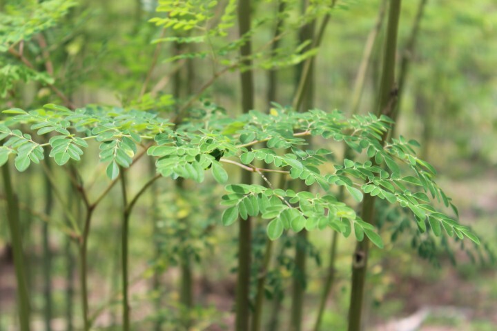 ブリリアントアース株式会社のプレスリリース画像3