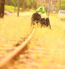 デザインスタジオ・ログオンのプレスリリース画像2