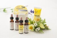 株式会社Aglaiaのプレスリリース画像1