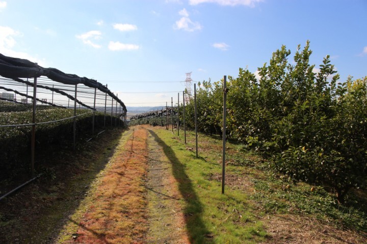 合同会社フルーツリキュールフリークスのプレスリリース画像3