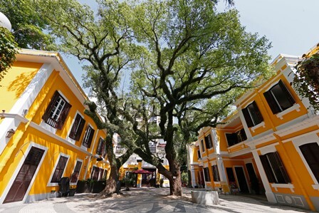 株式会社ユナイテッドツアーズのプレスリリース画像1