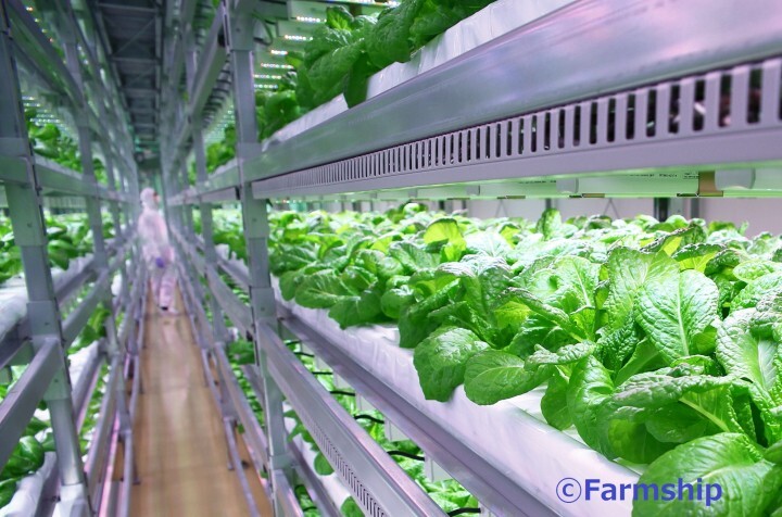 株式会社ファームシップのプレスリリース画像1