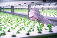 株式会社ファームシップのプレスリリース画像1