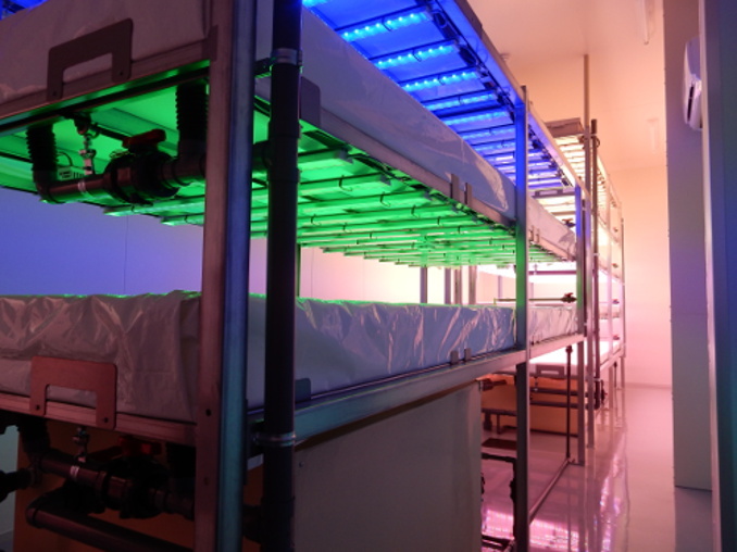 株式会社ファームシップのプレスリリース画像1