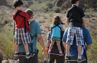 株式会社リトルマートコーポレーションのプレスリリース画像2