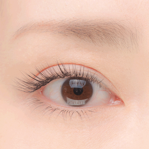 株式会社ヴィーナス・ラッシュのプレスリリース画像3